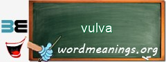 WordMeaning blackboard for vulva